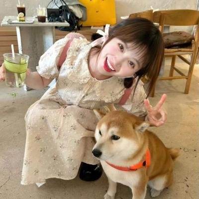 通往美好小径